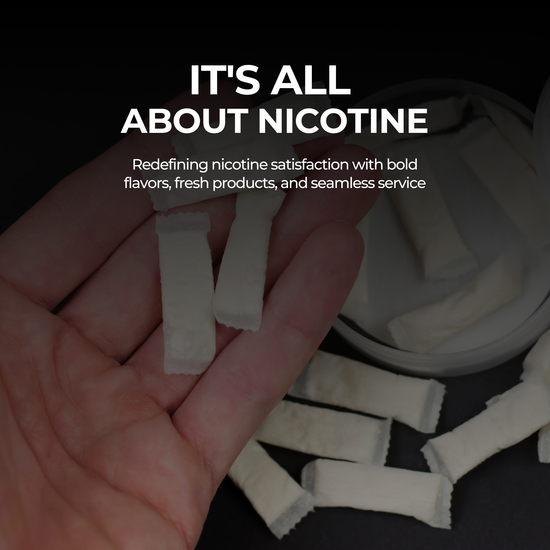 Close-up of hand holding tobacco-free nicotine pouches from an open can – featured on NiqPouches.com About Us page highlighting product quality and satisfaction