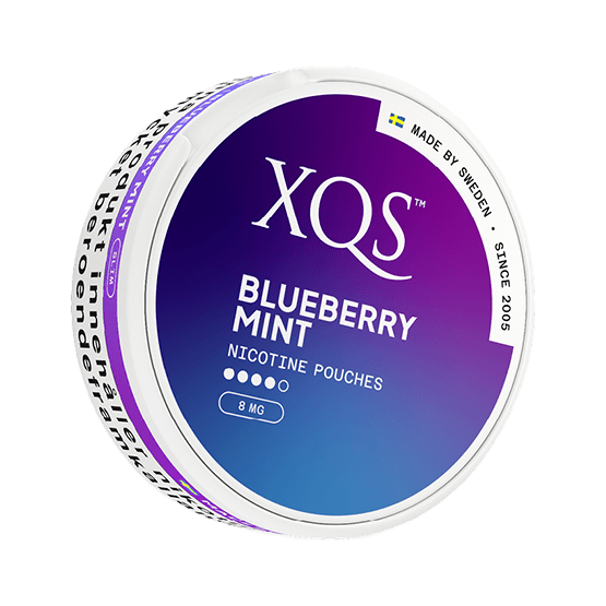 XQS Blueberry Mint 8mg nicotine pouch can – tobacco-free, sweet blueberry flavor, available at NiqPouches.com