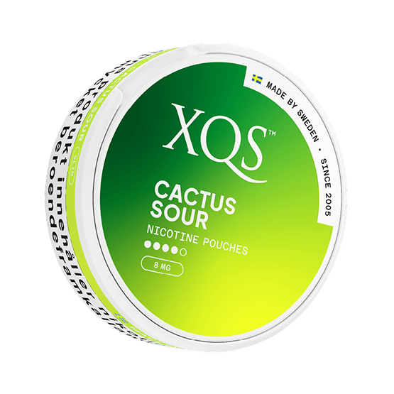 XQS Cactus Sour 8mg nicotine pouch can – tobacco-free, cactus flavor, available at NiqPouches.com