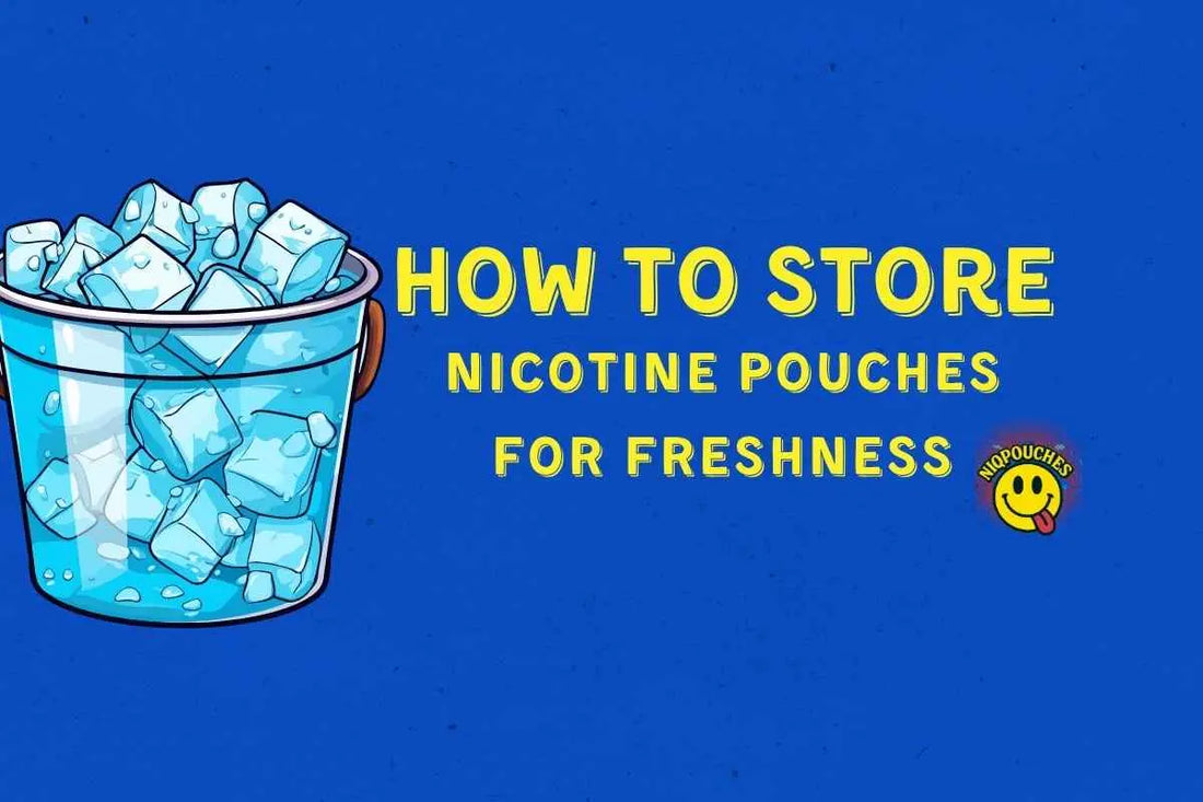 How to Store Nicotine Pouches for Freshness