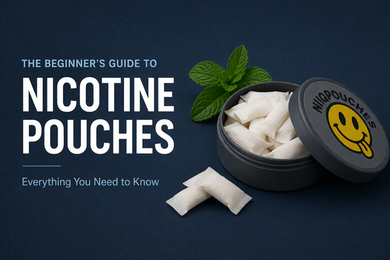 The Beginner's Guide to Nicotine Pouches. Everything You Need to Know!