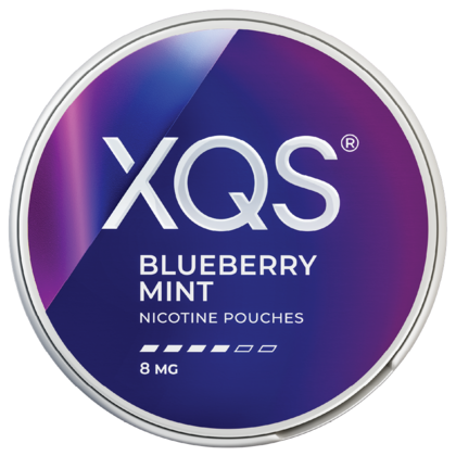XQS Blueberry Mint 8mg
