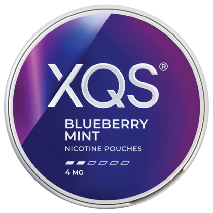 XQS Blueberry Mint 4 mg