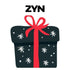 Mystery Nicotine Pouch Can - Zyn Mystery Flavor Tin