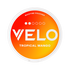 Velo Tropical Mango nicotine pouches packaging on a white background