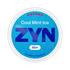Extra Strong Cool Mint Pouch